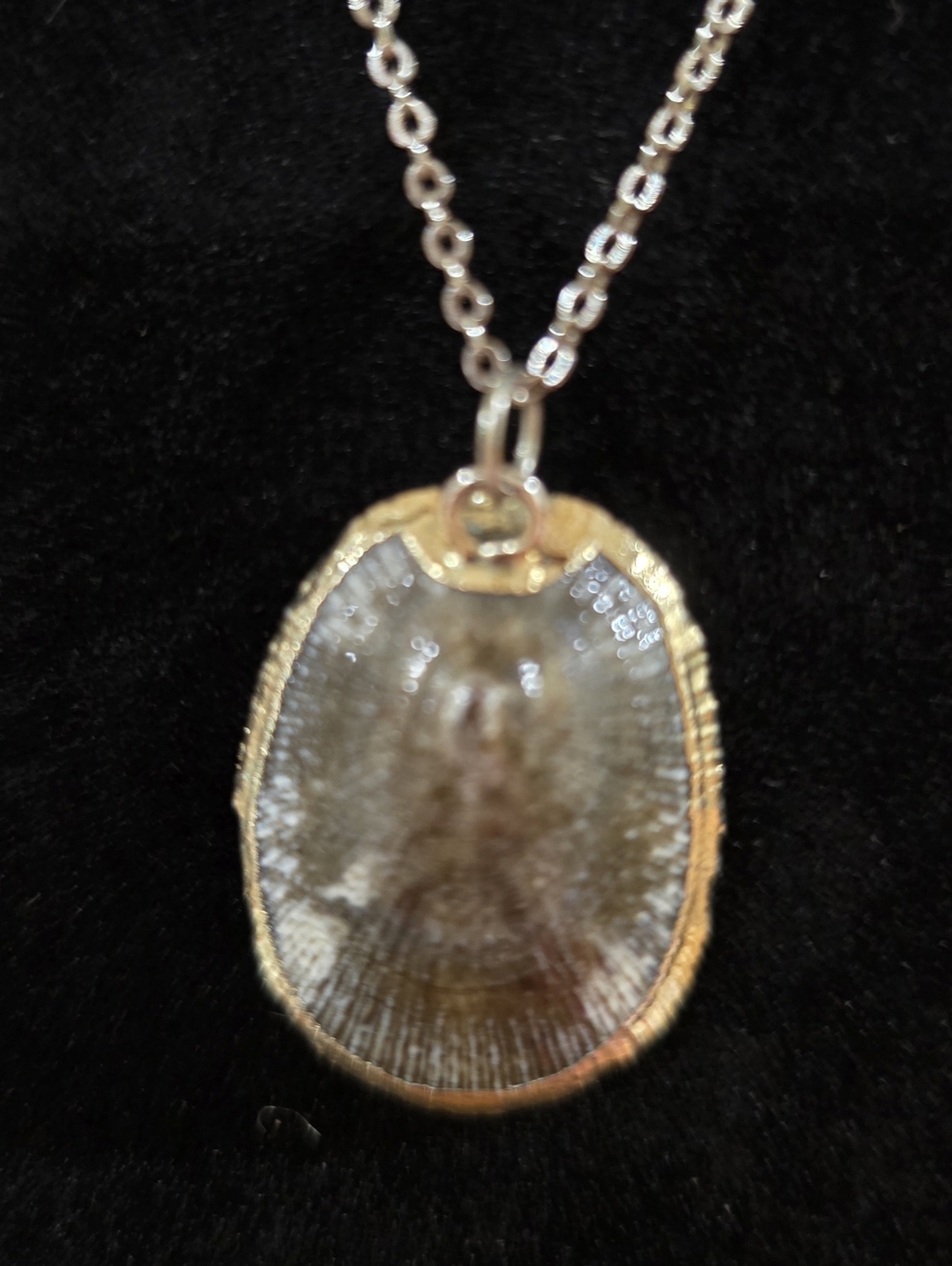 Gold Tone Limpet Shell Pendant Necklace